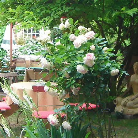 Szálloda Land-gut-hotel Lohmann 3*