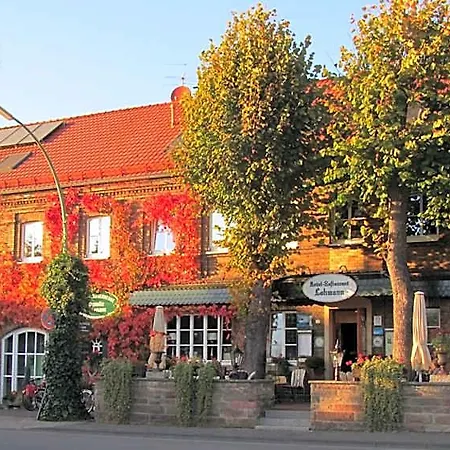 Land-gut-hotel Lohmann Hotel