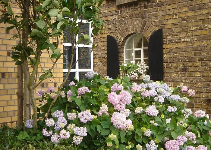 Hotel Land-gut-hotel Lohmann